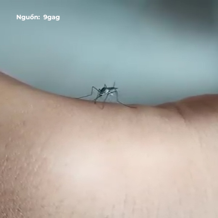 Chu muoi co gang dot nhung khong the dam kim qua da hinh anh