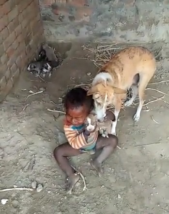 Nguoi lon dung cuoi vo cam de em be nguy hiem khi tranh gianh cho con hinh anh