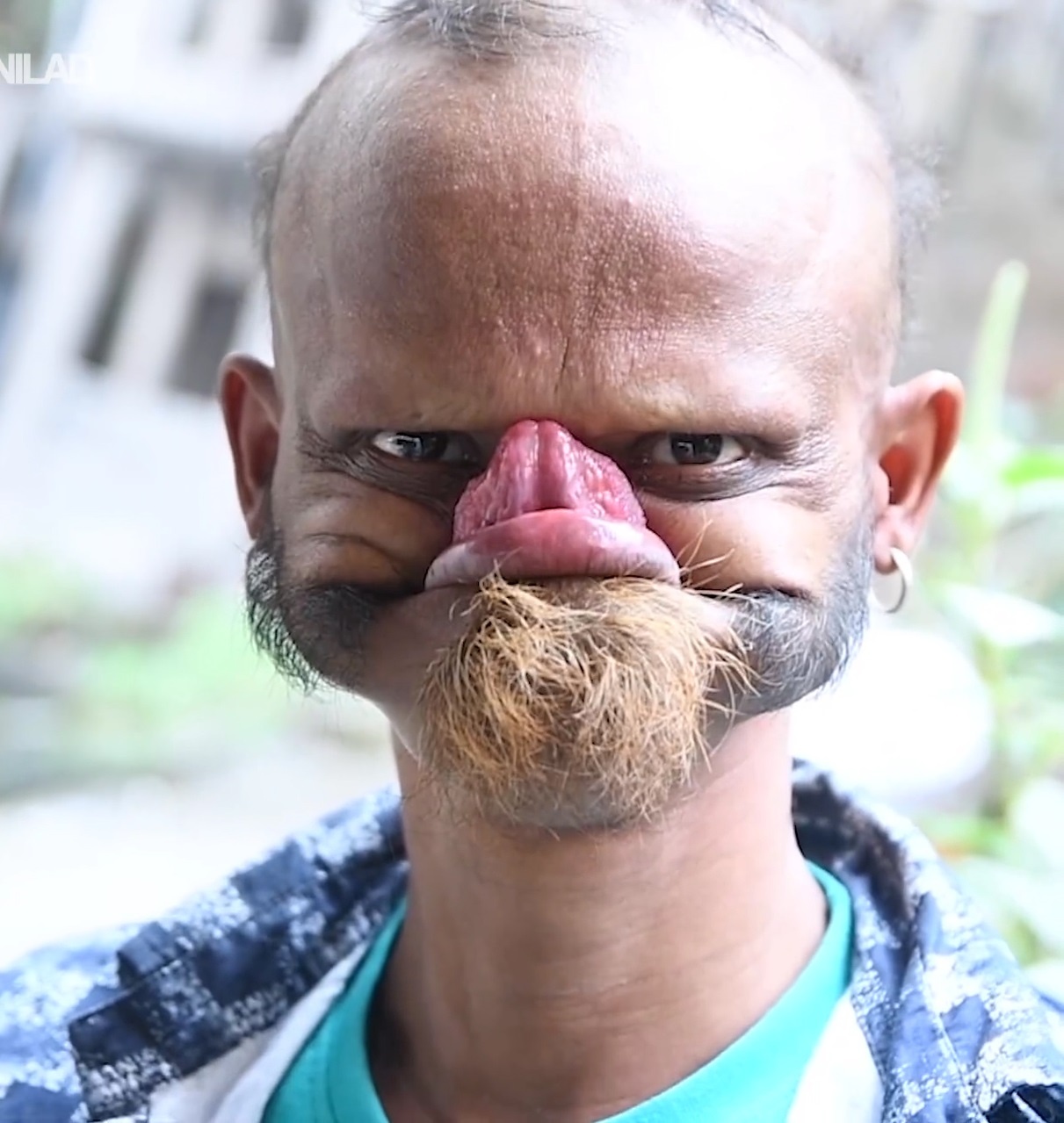 Nguoi dan ong co the dung luoi cham toi tran hinh anh