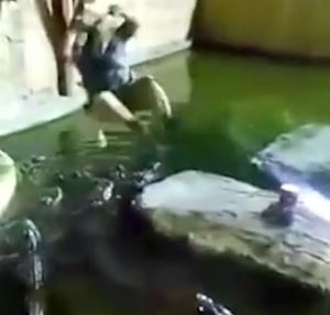 Nguoi dan ong bi tuot day roi xuong ho ca sau hinh anh