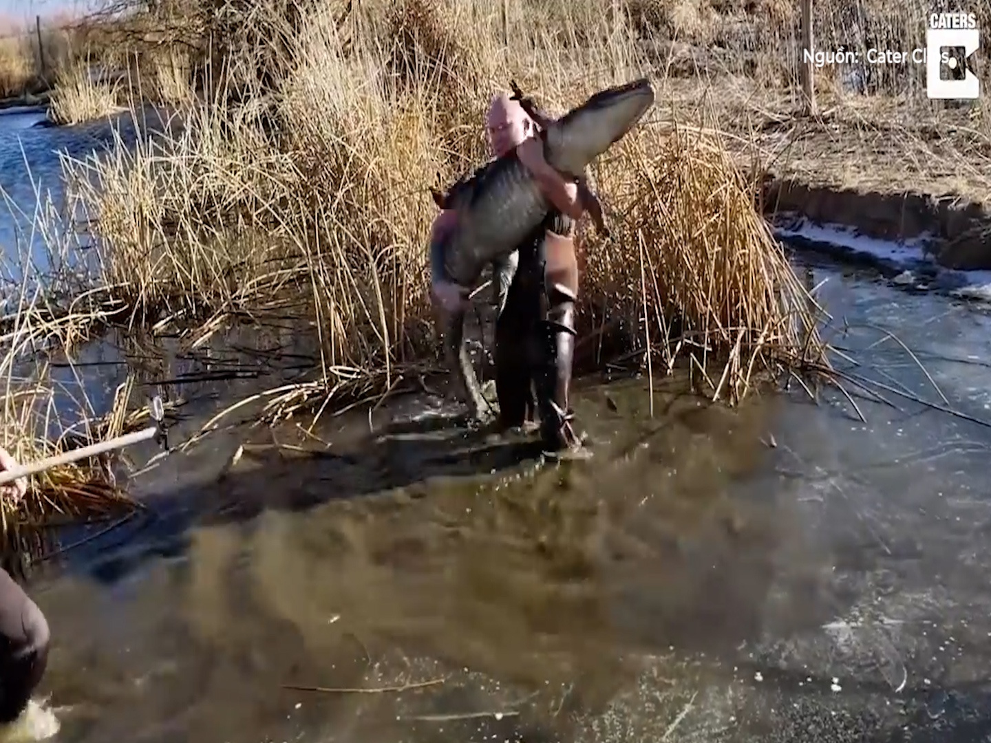 Nhan vien cuu ho dung tay khong giai cuu ca sau duoi lop bang hinh anh