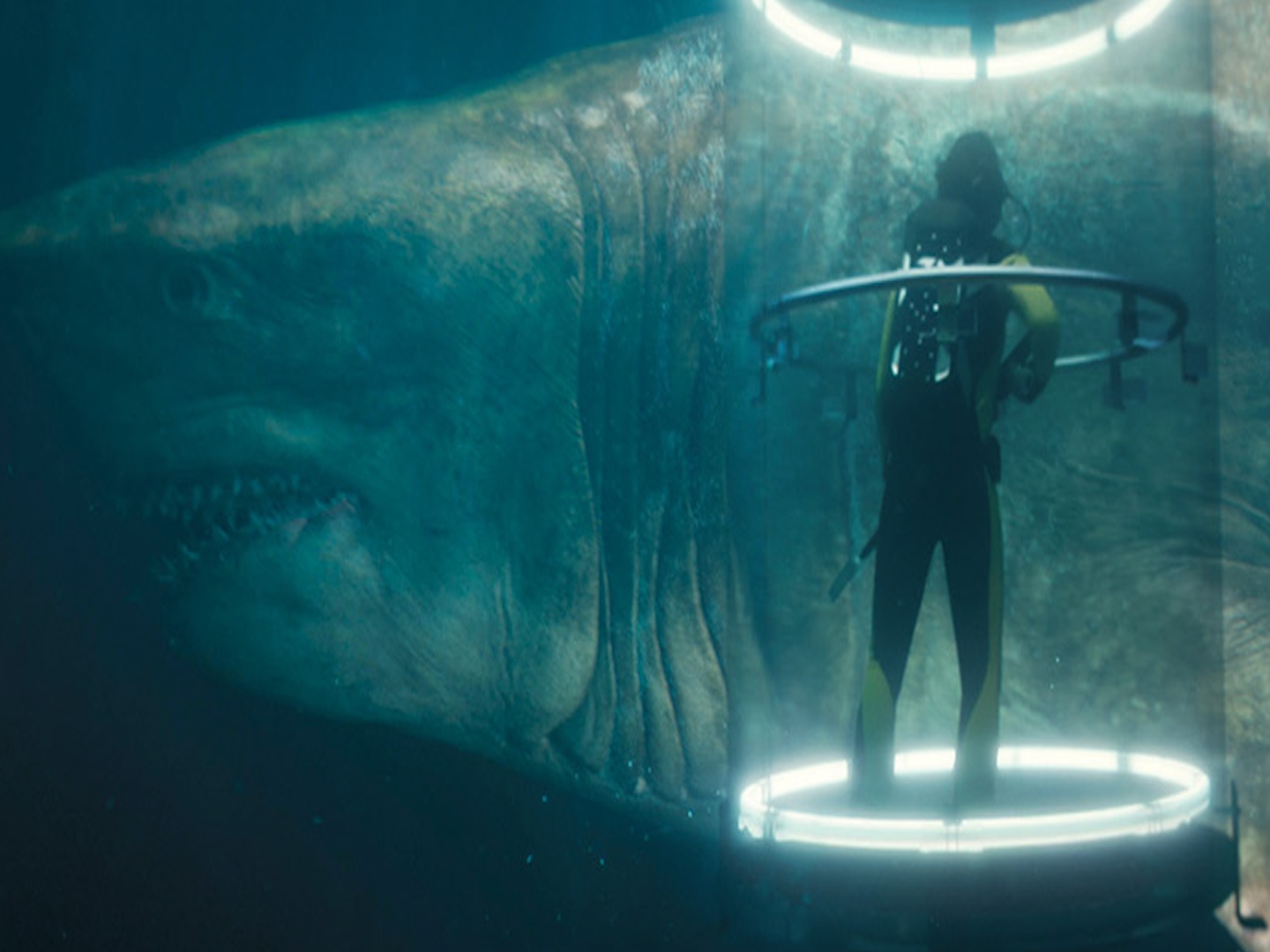 Quai vat Megalodon dang so den muc nao? hinh anh