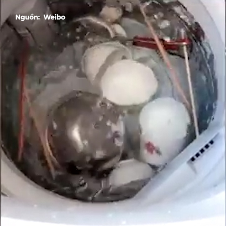 Co vo cho chen dua vao may giat de rua nhanh hon hinh anh