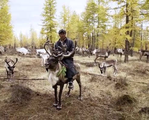 Theo chan bo toc du muc chan tuan loc cuoi cung tren the gioi hinh anh