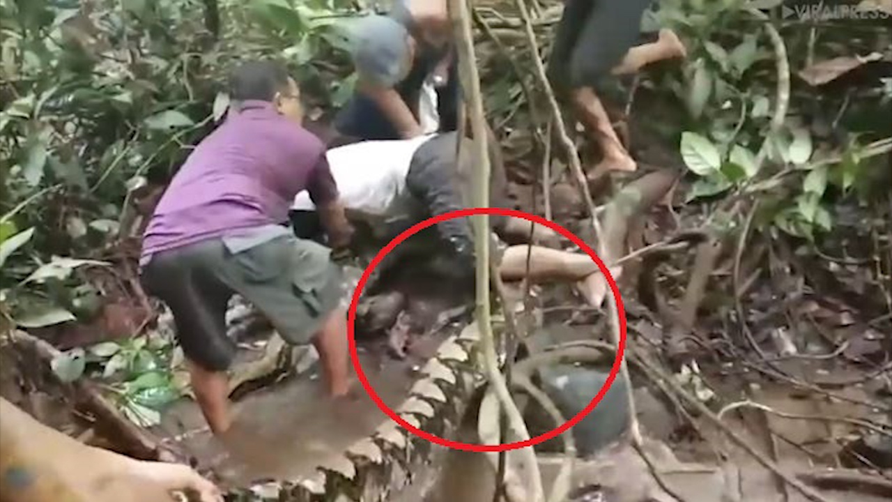 Vat lon cuu ngu dan bi tran khong lo siet chat hinh anh