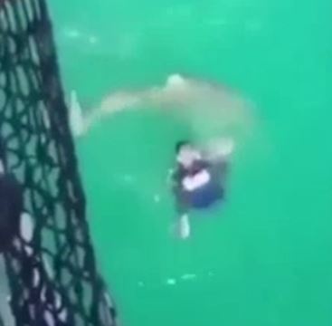 Thanh nien nhay xuong nuoc moi phat hien ca map ke ben hinh anh