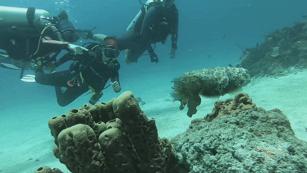 Bat ngo voi ca muc tu bien doi mau sac thanh hon da hinh anh