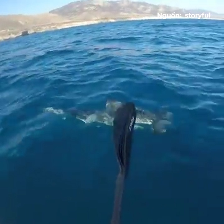 Bi tan cong, tho cau danh nhau voi ca map dau bua giua bien hinh anh