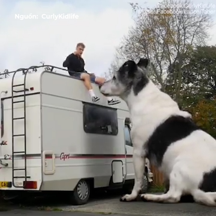 Ky xao giup choi dua cung chu thu cung khong lo hinh anh