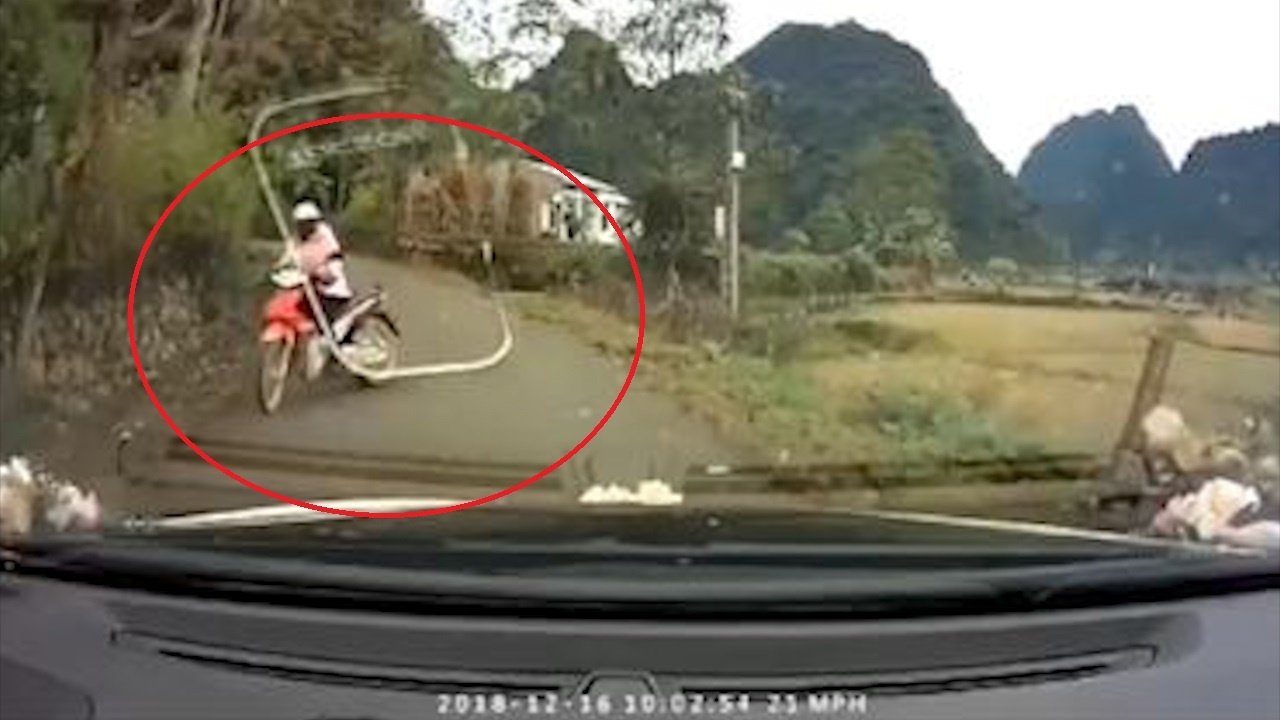 Nu tai xe vuot au, suyt nga nhao vi bat ngo gap phai oto hinh anh