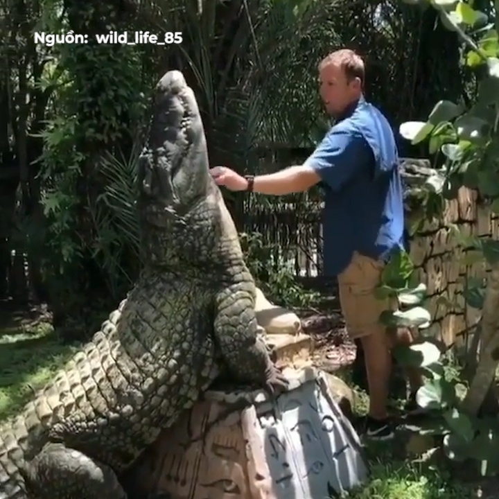 Khach du lich vuot ve ca sau nhu thu cung hinh anh