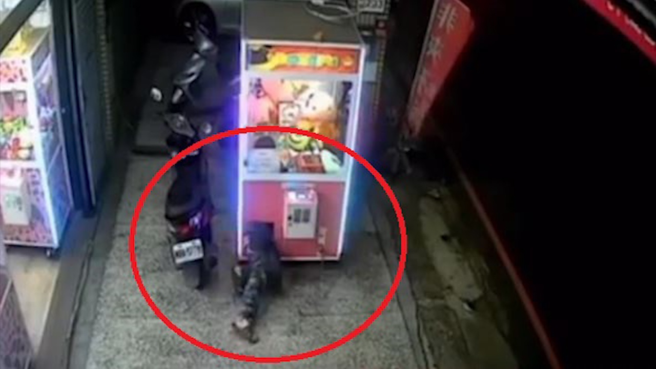 Chui vao may gap thu de trom thu nhoi bong hinh anh