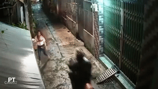 Giat gio xach nhanh nhu chop trong hem vang hinh anh