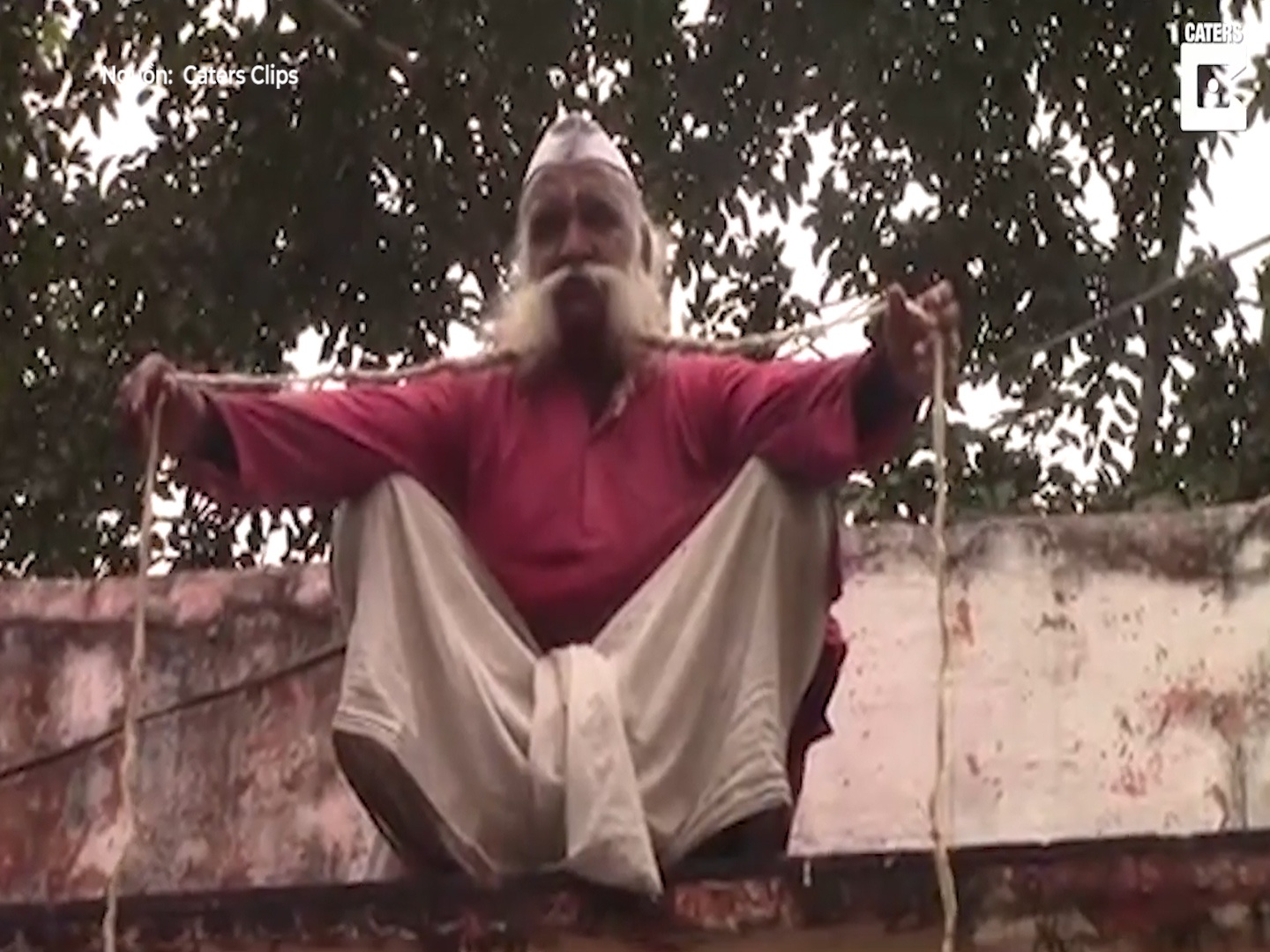 Cu gia An Do tron ca gia dinh vi co bo rau dai 6 met hinh anh