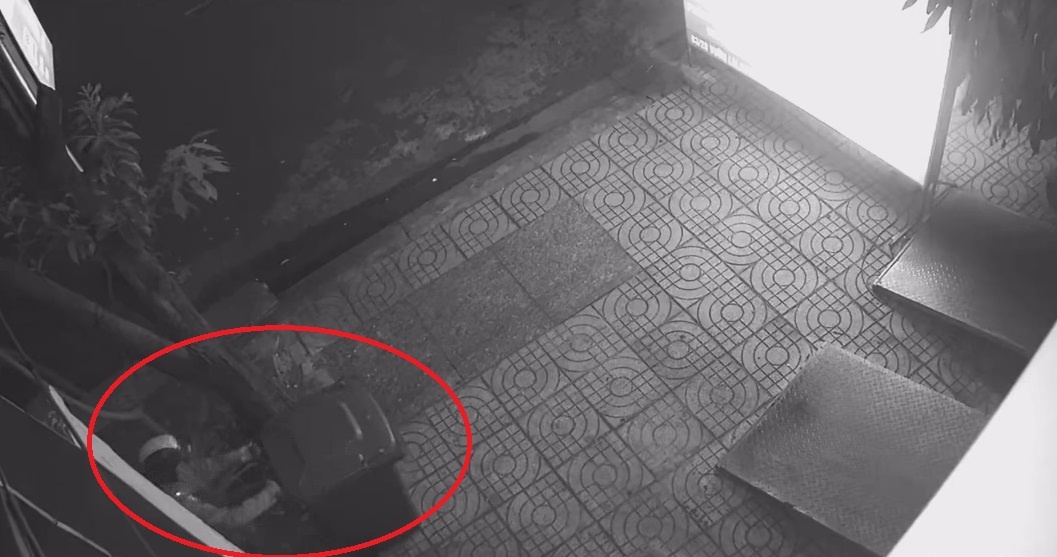 Ngang nhien trom thung rac cong cong ngay trong dem hinh anh