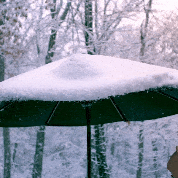 Nhung chuyen dong nhu phim hoat hinh cua troi tuyet hinh anh