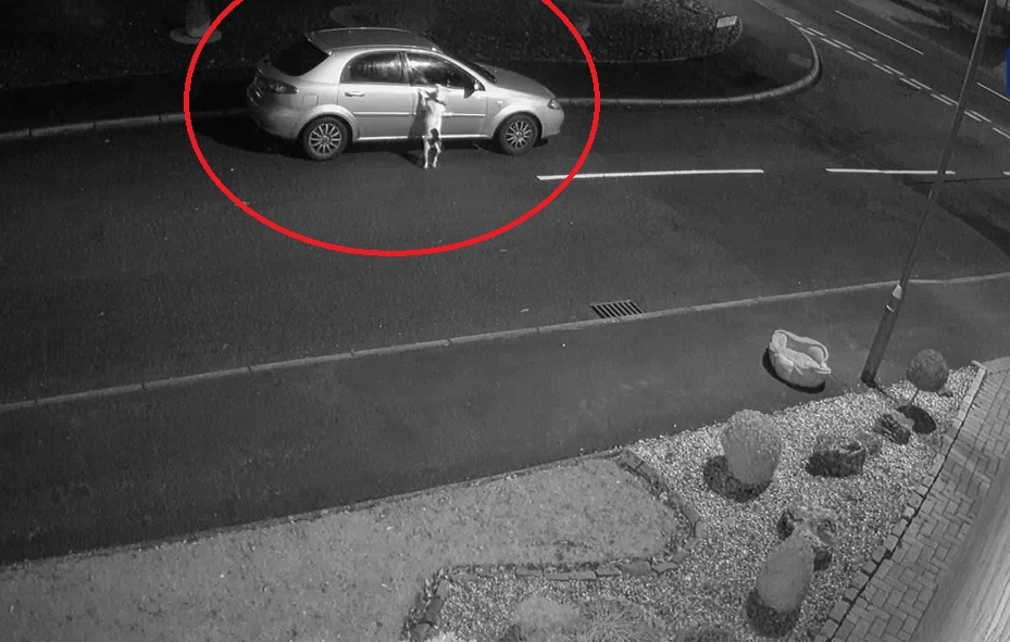 Cho bi bo roi, van kien tri chay theo xe cua chu gay xuc dong hinh anh