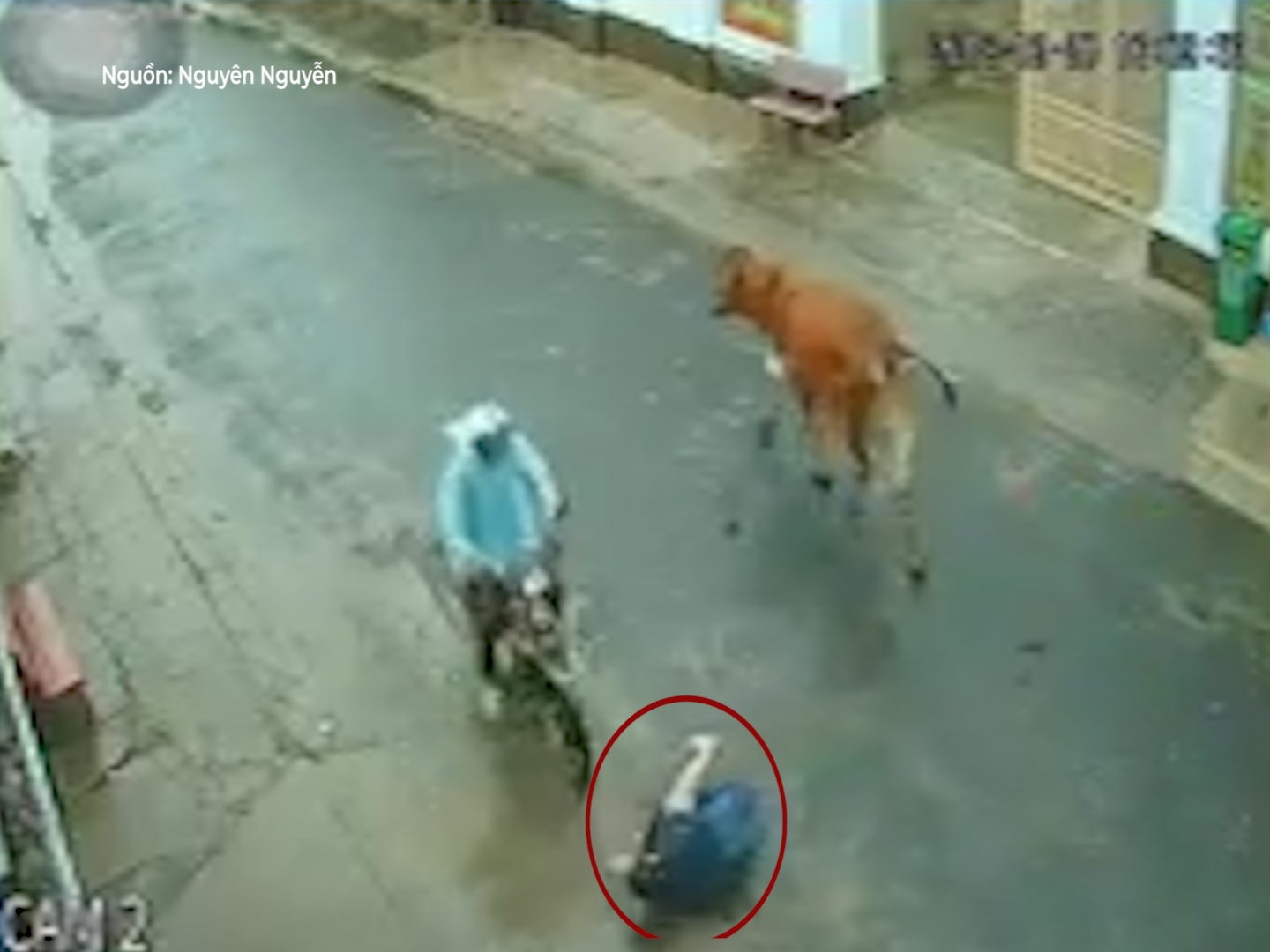 Co gai xui xeo bi bo da nga roi lai co xe tong phai hinh anh