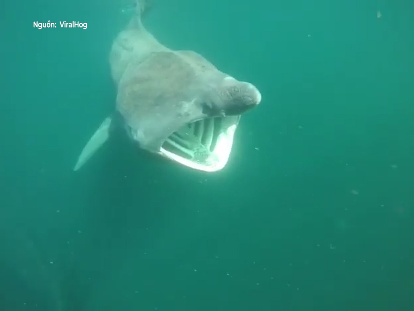 Tho cheo thuyen nin tho khi boi canh ca nham khong lo dang san moi hinh anh