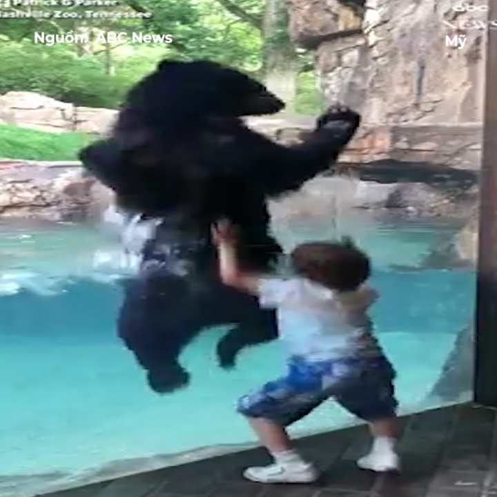 Gau den nhay mua cung cau be 5 tuoi hinh anh