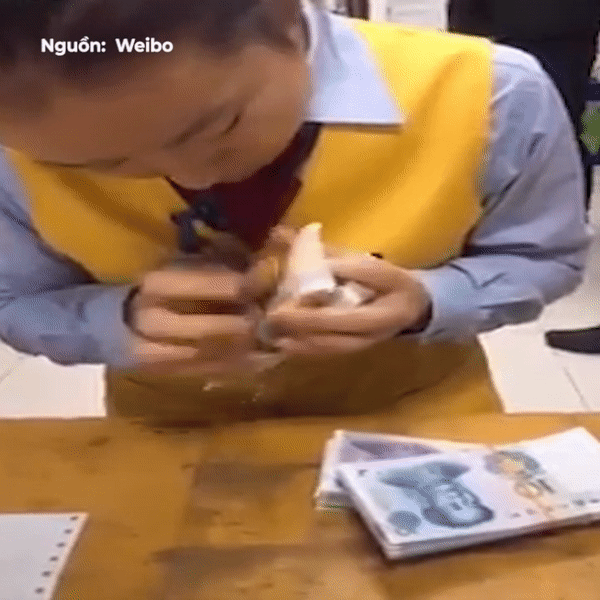 Nhan vien dem tien nhanh va chuan xac nhu may hinh anh