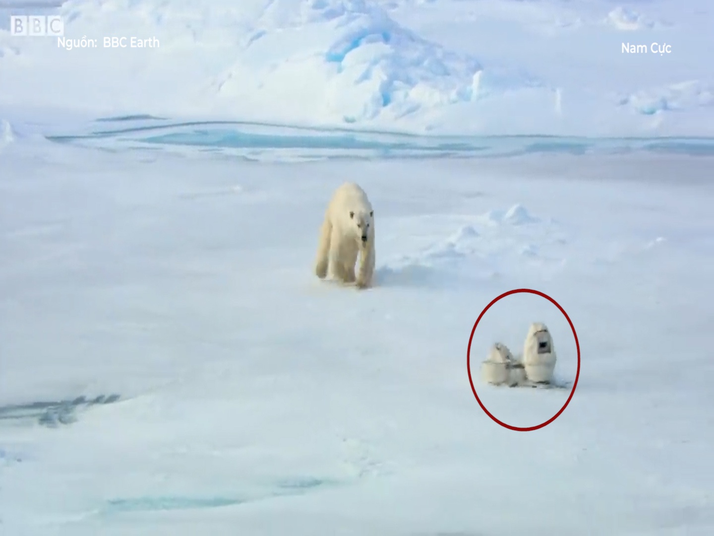 Gau trang 'xoi tai' may quay cua cac nha lam phim o Bac Cuc hinh anh