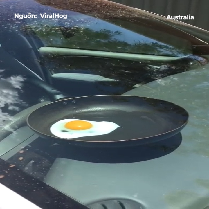 Tai xe chien trung tren oto chang can bep hinh anh