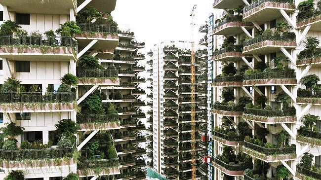 Trung Quoc ra mat 'chung cu trong rung cay' voi gia sieu dat hinh anh