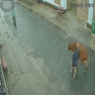 Co gai bi bo dap nga xuong duong hinh anh