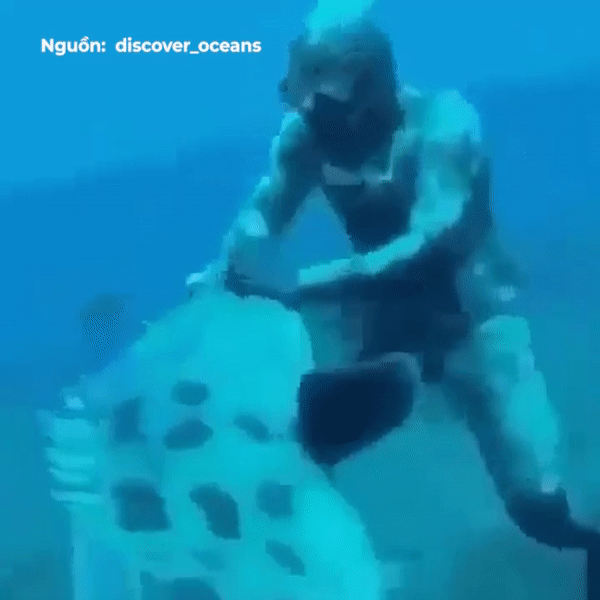 Tho lan gianh lai doi tay trong mieng ca mu khong lo hinh anh