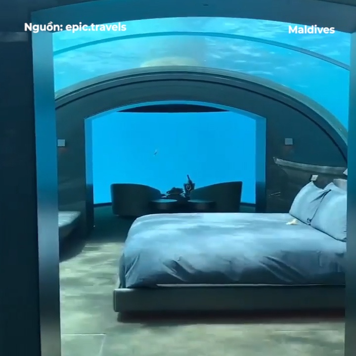 Ngu cung ca trong khach san sang trong duoi bien Maldives hinh anh
