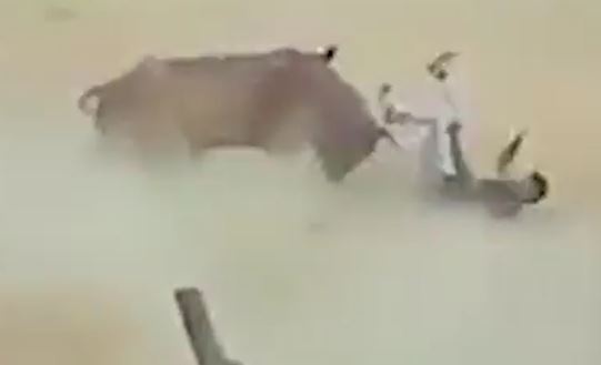 Bo tot 'noi dien' tan cong nguoi, lam loan le hoi dau bo hinh anh