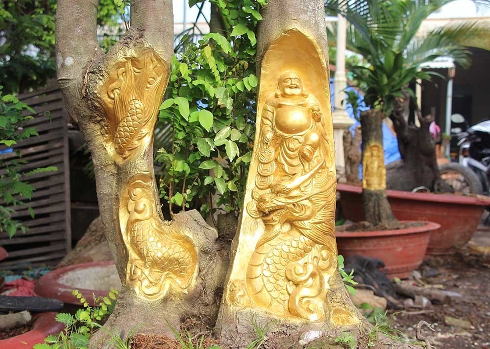 Tac tuong, dat vang len than cay song doc dao o Can Tho hinh anh