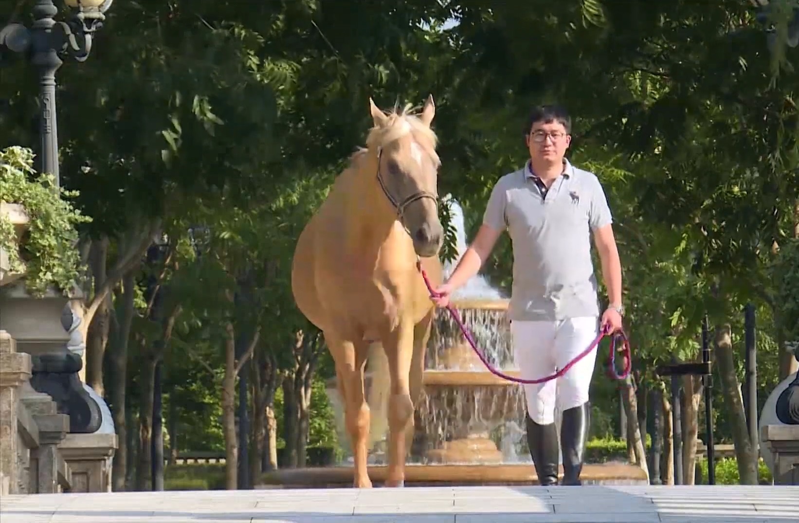 Gioi nha giau Trung Quoc do xo di hoc cuoi ngua hinh anh