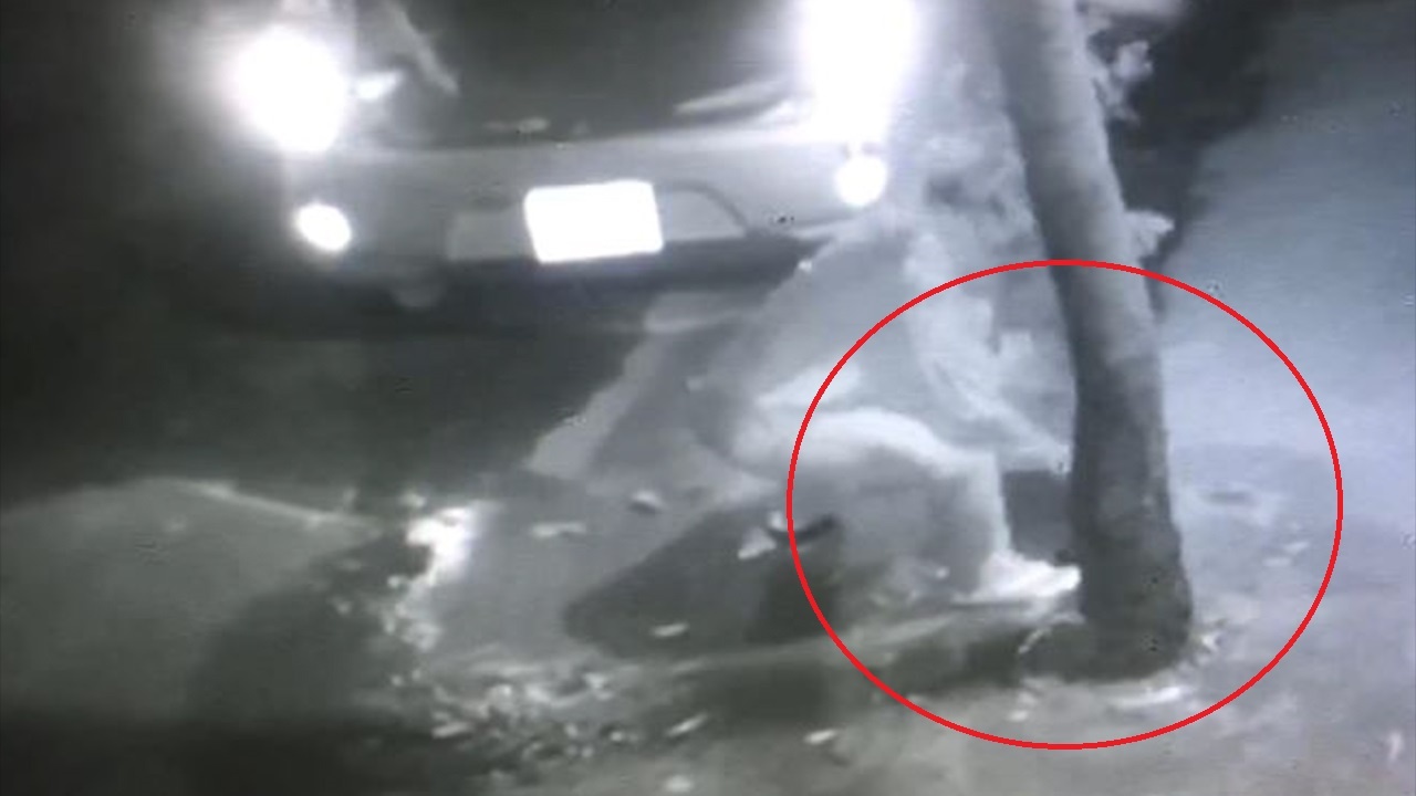 Tai xe oto do xe ven duong roi lay trom cay canh hinh anh