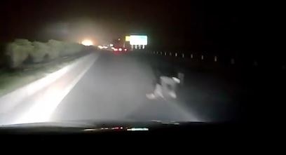 'Nguoi bi an' nam giua cao toc suyt bi oto can trung hinh anh