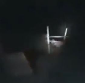 Chua son lam tim con nguoi de cau cuu sau khi bi thuong hinh anh