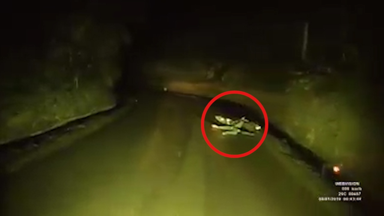 Tai xe bat ngo gap nguoi nam giua duong luc dem vang hinh anh