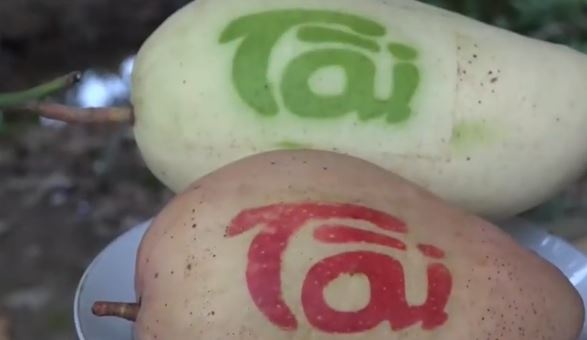 Doc la chu thu phap ‘bay luon’ tren trai xoai hinh anh