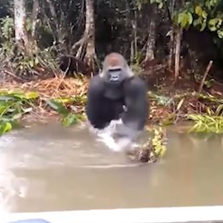 Khi dot gian du, te nuoc vao mat du khach hinh anh