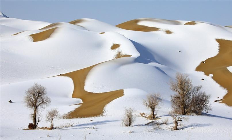 Sa mac bien thanh mien co tich voi tuyet va suong muoi hinh anh