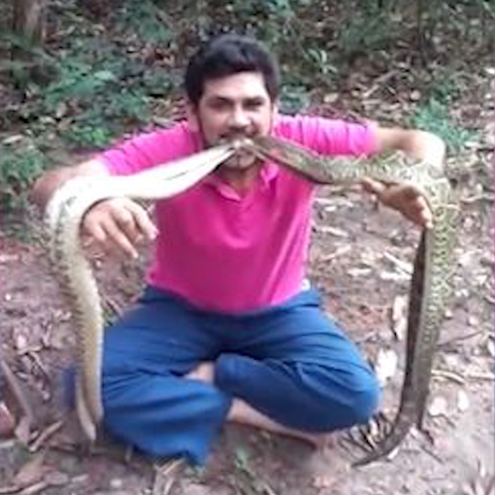 Tho bat ran lieu mang ngam 4 con ran kich doc trong mieng hinh anh