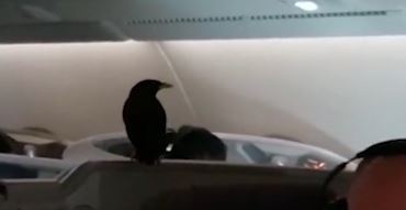 Sao den 'di lau' may bay suot 12 tieng ma khong ai biet hinh anh