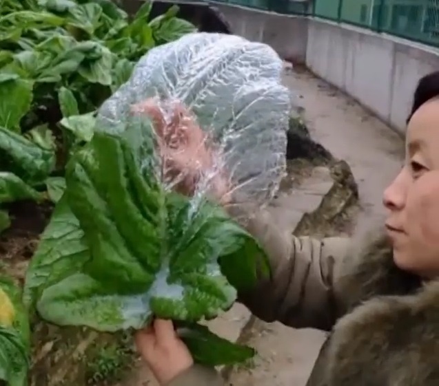 Khi nuoc dong bang kieu 'khong tuong' giua troi lanh gia hinh anh