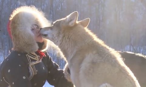Dung mieng bon cho cho soi an, co gai khien bao nguoi thot tim hinh anh