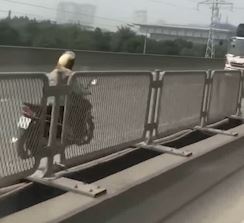 Tai xe bit mat di xe may chay nguoc chieu tai duong tren cao o Ha Noi hinh anh