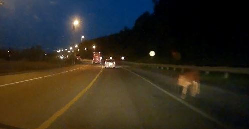 Con bo dot ngot xuat hien tren deo luc troi toi khien tai xe that than hinh anh