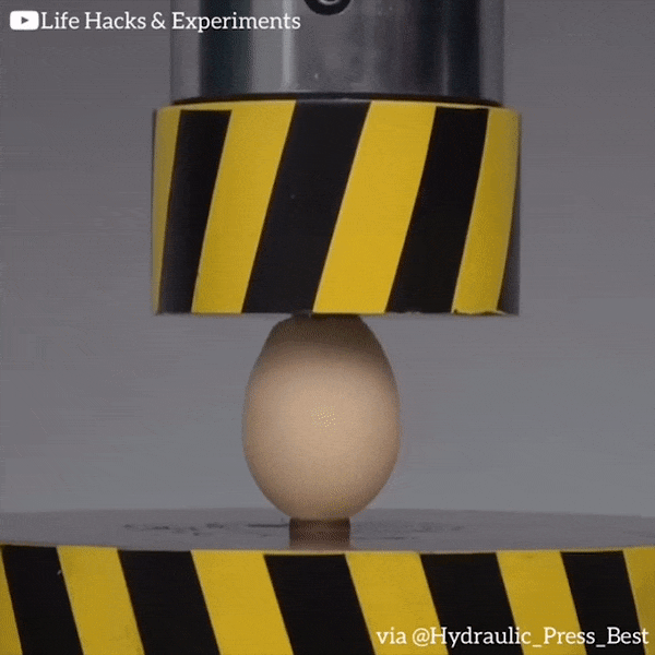 Qua trung dap nat duoi suc ep 100 tan hinh anh