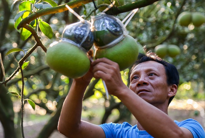 Buoi ho lo choi Tet gia tien trieu, bao nhieu cung ban het hinh anh