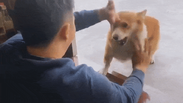 Man ty thi Vinh Xuan Quyen hai huoc giua nguoi chu va thu nuoi hinh anh